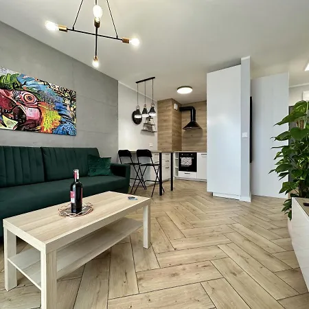 Apartament Rezydencja Vintage No3 Olsztyn  Zewnętrze zdjęcie